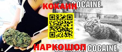 ешки Будённовск
