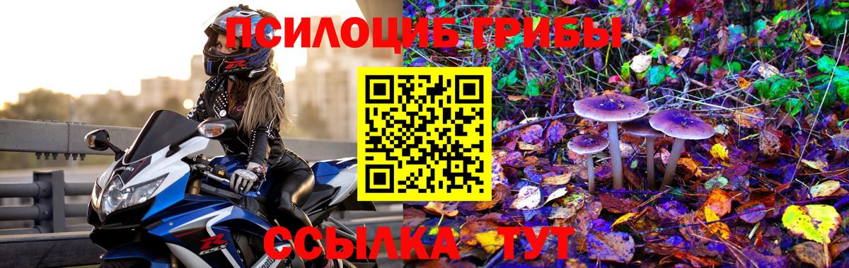 Псилоцибиновые грибы GOLDEN TEACHER Тюмень