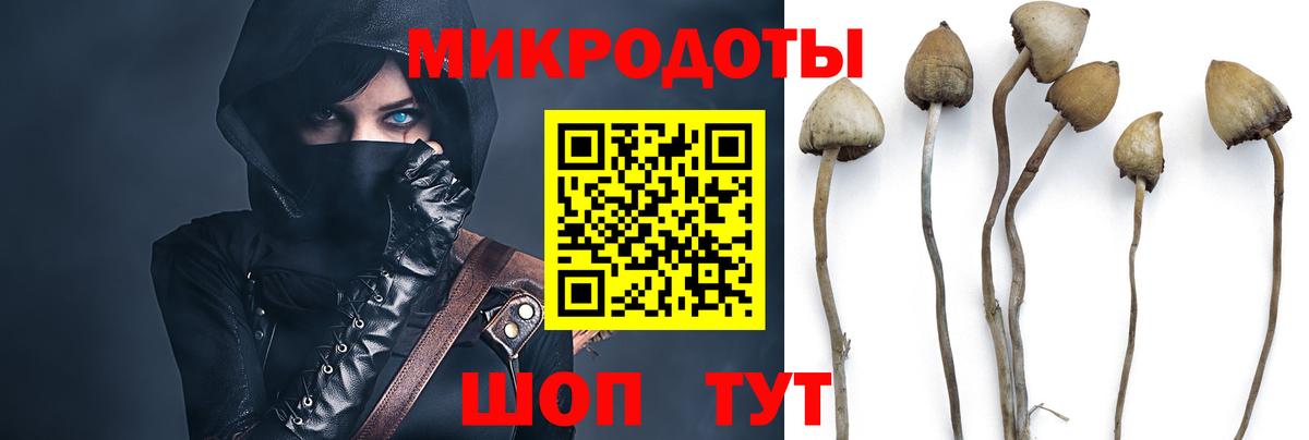 Псилоцибиновые грибы Psilocybe  Вход с VPN  Псилоцибиновые грибы Psilocybine cubensis  Тюмень 