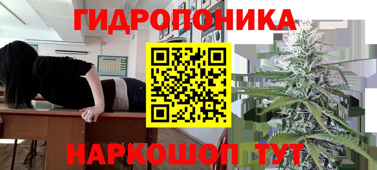 Шишки марихуана гибрид Тюмень